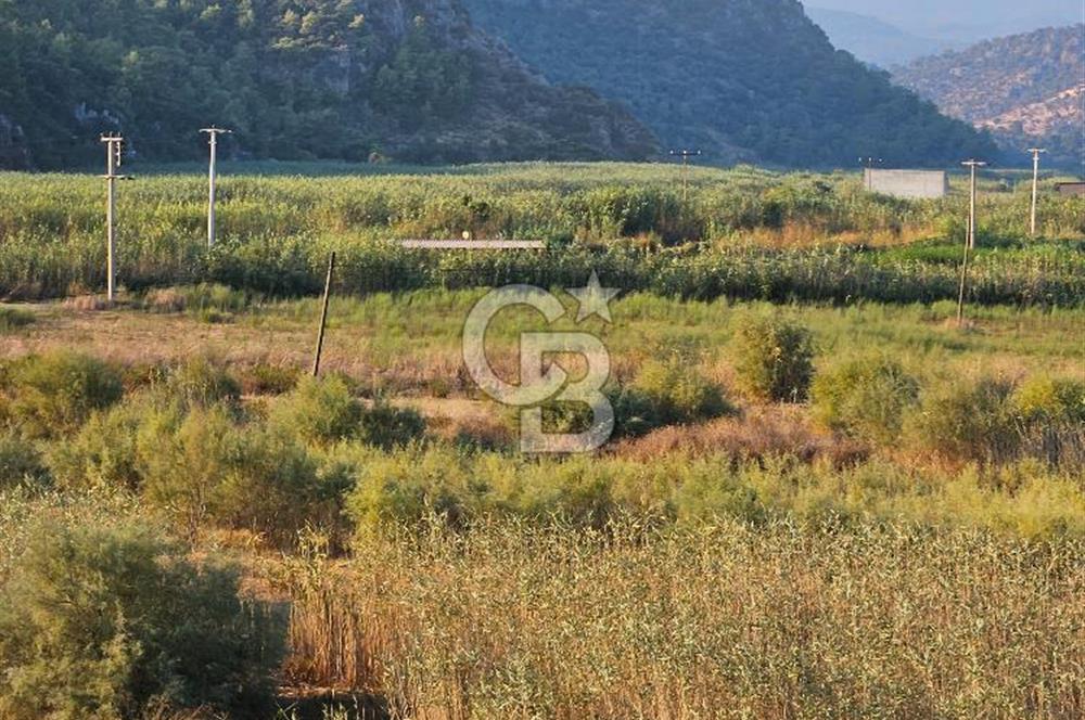 Ortaca Sarıgerme’de Yüksek Getiri Potansiyelli Yatırımlık Tarla