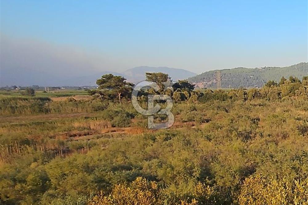 Ortaca Sarıgerme’de Yüksek Getiri Potansiyelli Yatırımlık Tarla