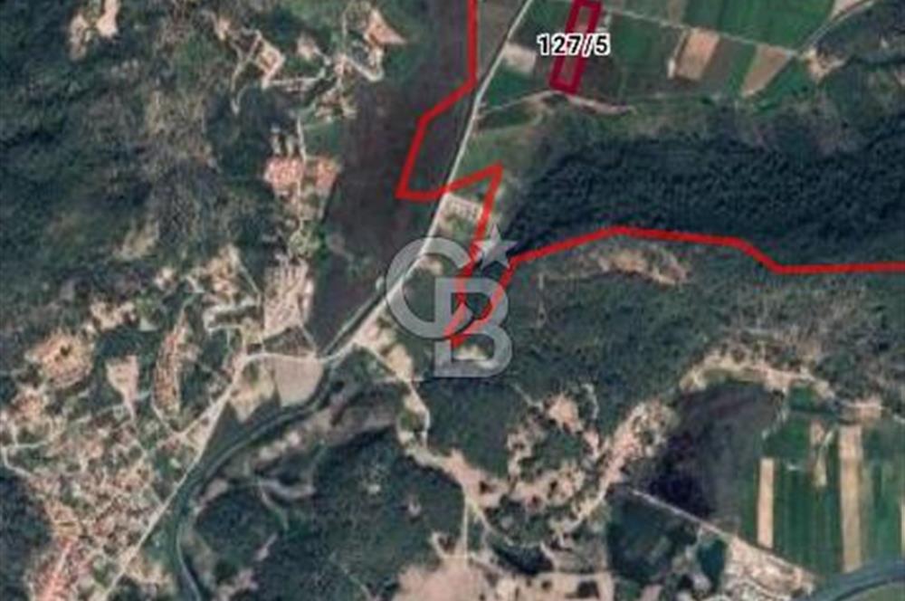 Ortaca Sarıgerme’de Yüksek Getiri Potansiyelli Yatırımlık Tarla