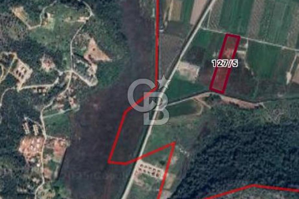 Ortaca Sarıgerme’de Yüksek Getiri Potansiyelli Yatırımlık Tarla