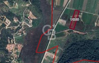 Ortaca Sarıgerme’de Yüksek Getiri Potansiyelli Yatırımlık Tarla