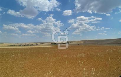 ESKİŞEHİR YOLU VE ANAYOLA YAKIN GÜZEL KONUM 1.835 M2 TAPU HİSSE