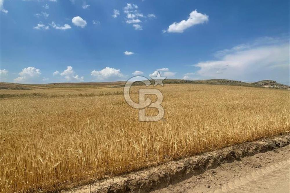 ESKİŞEHİR YOLU VE ANAYOLA YAKIN GÜZEL KONUM 1.835 M2 TAPU HİSSE