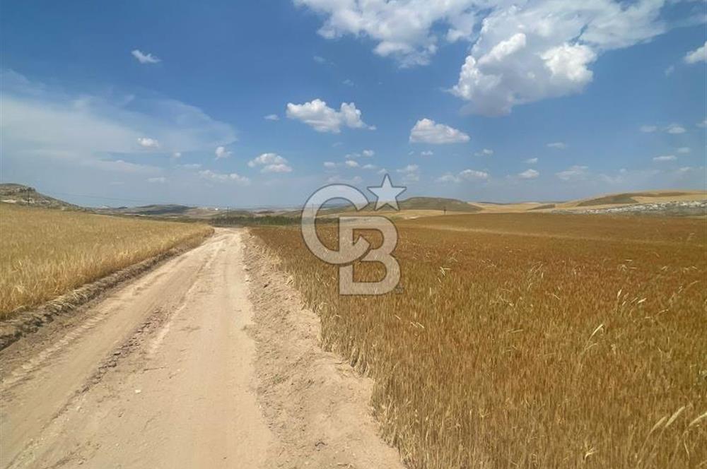 ESKİŞEHİR YOLU VE ANAYOLA YAKIN GÜZEL KONUM 1.835 M2 TAPU HİSSE