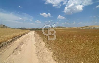ESKİŞEHİR YOLU VE ANAYOLA YAKIN GÜZEL KONUM 1.835 M2 TAPU HİSSE
