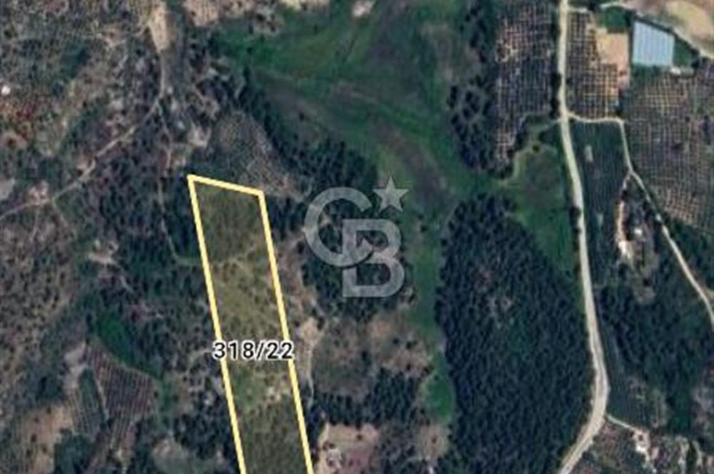 Uzunlarda satılık 13106 m2 tarla