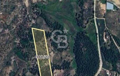Uzunlarda satılık 13106 m2 tarla