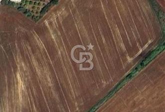 Uzunlarda satılık 13106 m2 tarla