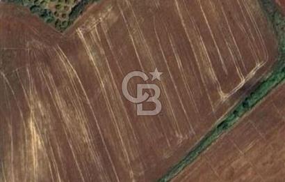 Uzunlarda satılık 13106 m2 tarla