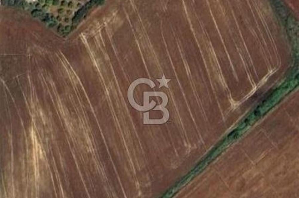 Halitağalarda satılık 1018 m2 tarla