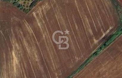 Halitağalarda satılık 1018 m2 tarla