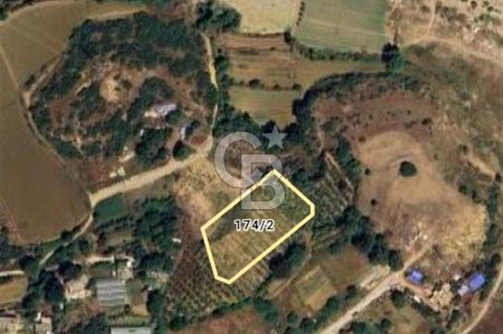 Halitağalarda satılık 7071 m2 tarla