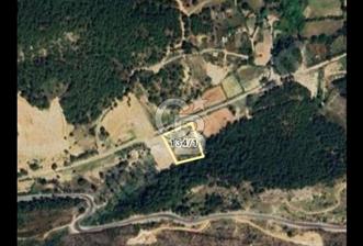 Halitağalarda satılık 7071 m2 tarla