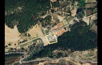 Yalçıdibinde satılık 1179 m2 arsa
