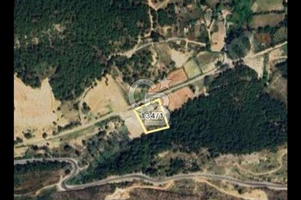 Taşağılda 1046 m2 satılık arsa