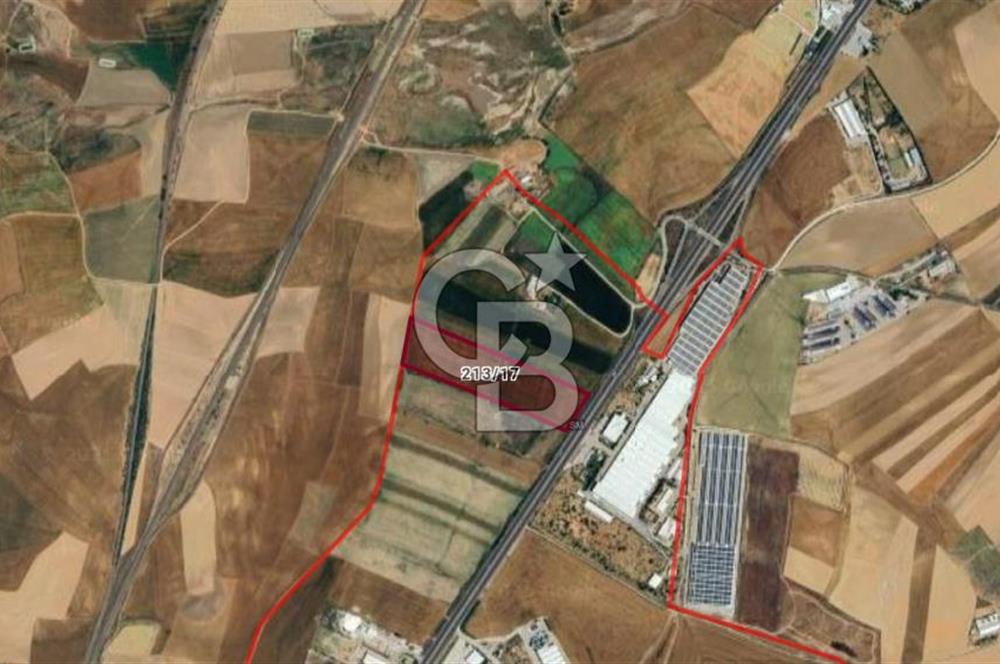 ANKARA POLATLI KARGALI MEVKİ SATILIK TARLA 