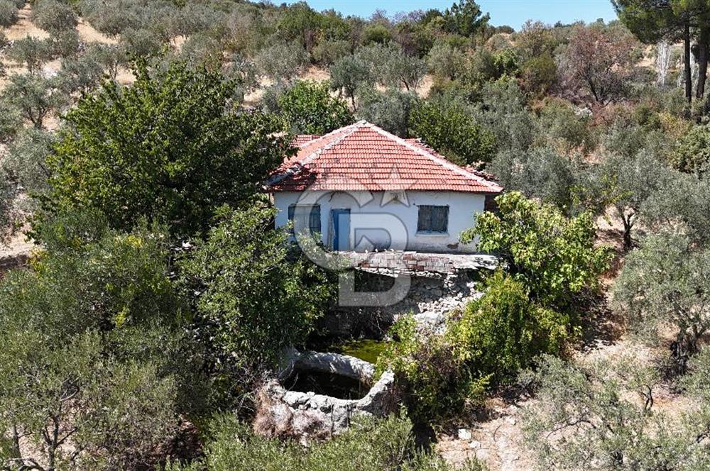 Manisa, Akhisar, Seğirdim Mah., 23.541 m2 Satılık Tarla