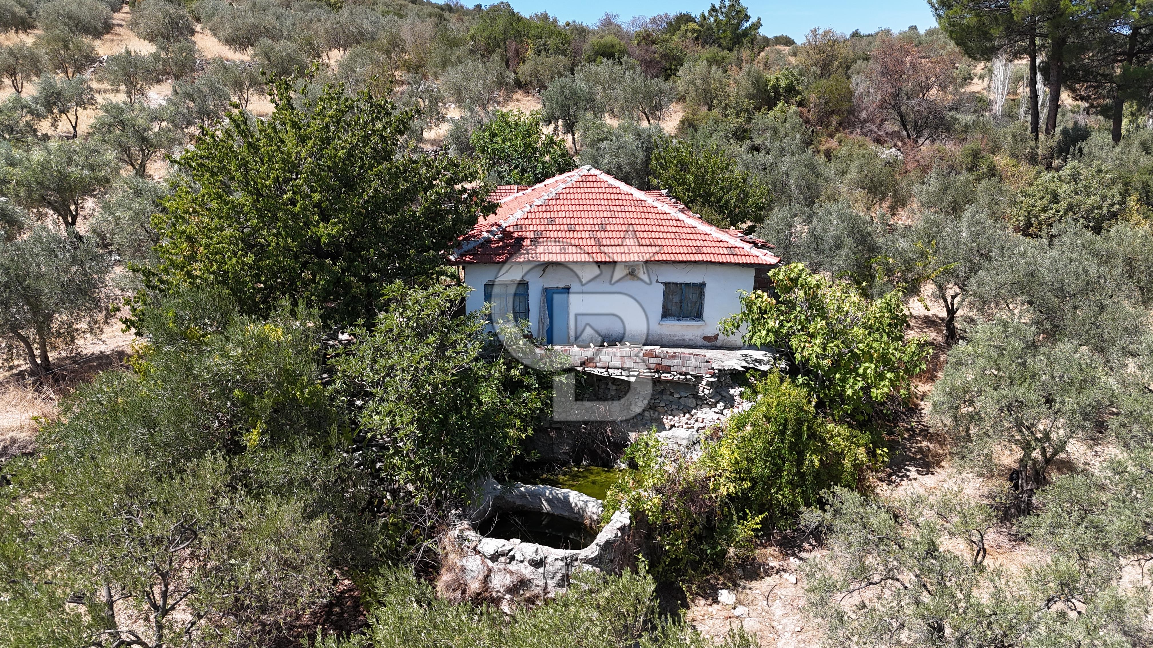 Manisa, Akhisar, Seğirdim Mah., 23.541 m2 Satılık Tarla