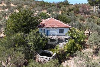 Manisa, Akhisar, Seğirdim Mah., 23.541 m2 Satılık Tarla