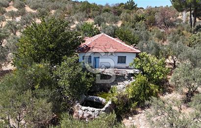 Manisa, Akhisar, Seğirdim Mah., 23.541 m2 Satılık Tarla