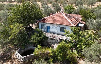 Manisa, Akhisar, Seğirdim Mah., 23.541 m2 Satılık Tarla