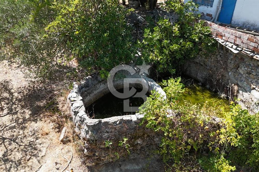Manisa, Akhisar, Seğirdim Mah., 23.541 m2 Satılık Tarla