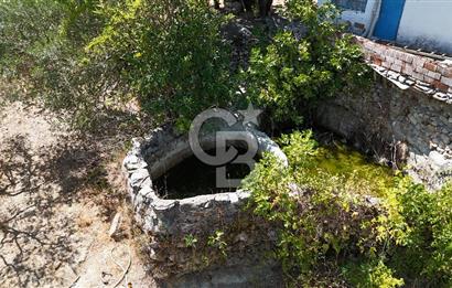 Manisa, Akhisar, Seğirdim Mah., 23.541 m2 Satılık Tarla