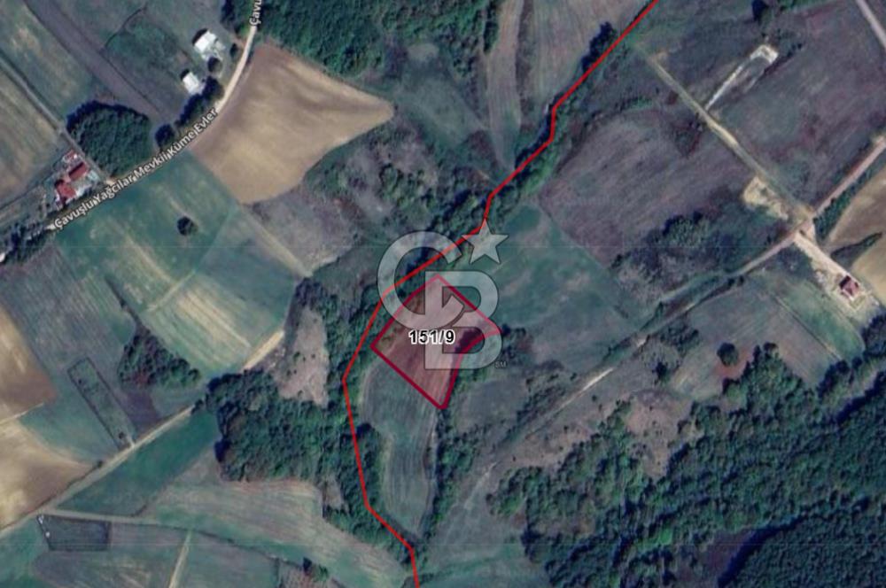 Derince Tahtalı da 4800 m2 SATILIK TARLA, Kadastral yolu var