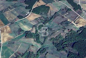 Derince Tahtalı da 4800 m2 SATILIK TARLA, Kadastral yolu var
