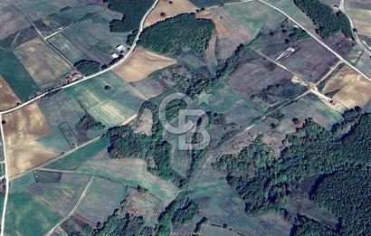 Derince Tahtalı da 4800 m2 SATILIK TARLA, Kadastral yolu var