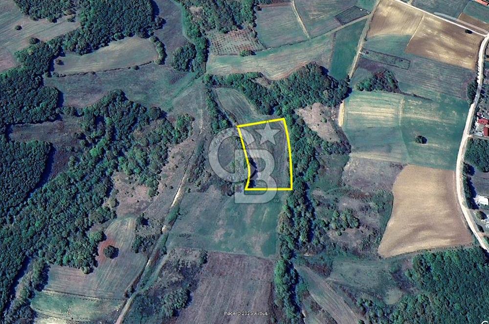 Derince Tahtalı da 4800 m2 SATILIK TARLA, Kadastral yolu var