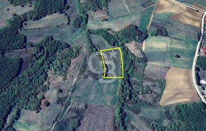 Derince Tahtalı da 4800 m2 SATILIK TARLA, Kadastral yolu var