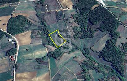 Derince Tahtalı da 4800 m2 SATILIK TARLA, Kadastral yolu var