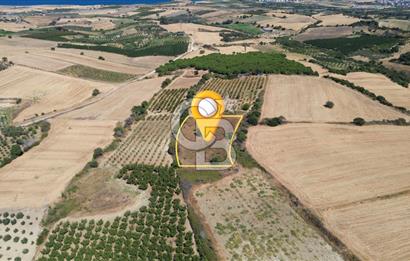 LAPSEKİ ÇARDAK’TA TARIMA ELVERİŞLİ, KÖPRÜ MANZARALI 5.800 m² ARAZİ
