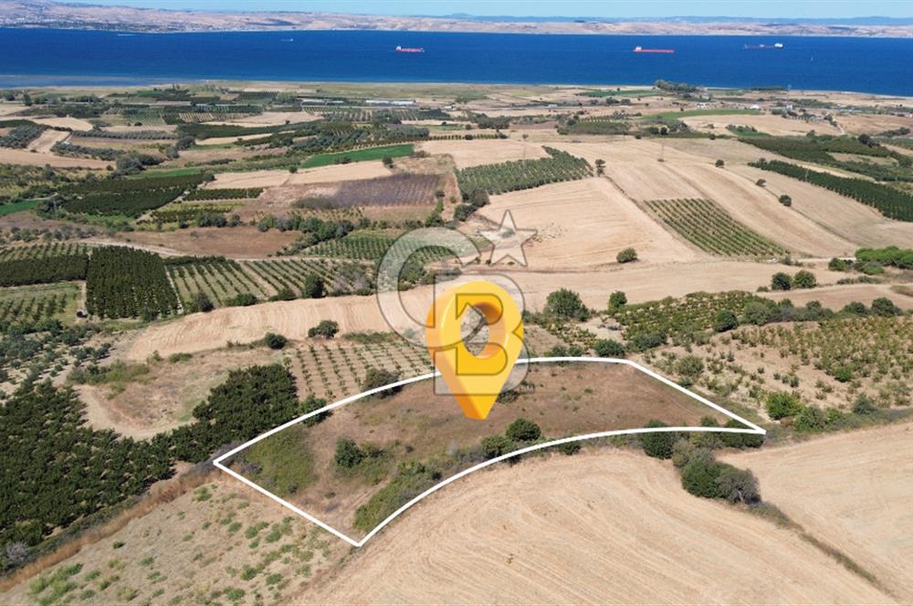 LAPSEKİ ÇARDAK’TA TARIMA ELVERİŞLİ, KÖPRÜ MANZARALI 5.800 m² ARAZİ