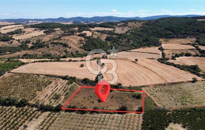 LAPSEKİ ÇARDAK’TA TARIMA ELVERİŞLİ, KÖPRÜ MANZARALI 5.800 m² ARAZİ