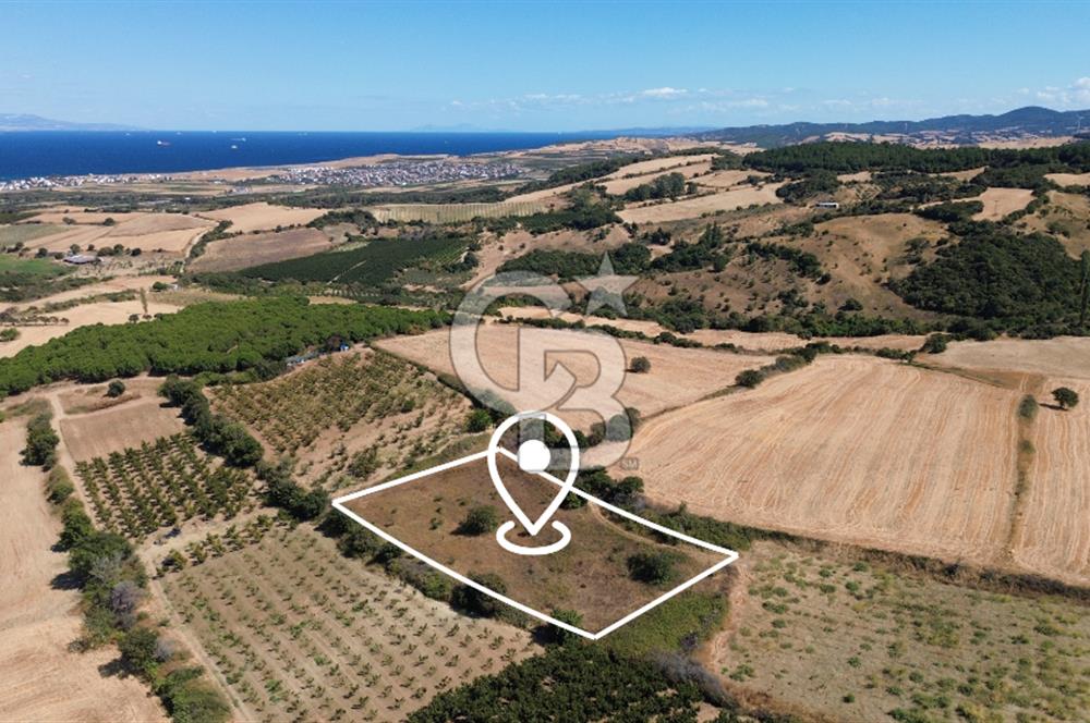 LAPSEKİ ÇARDAK’TA TARIMA ELVERİŞLİ, KÖPRÜ MANZARALI 5.800 m² ARAZİ