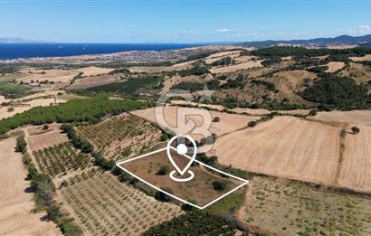 LAPSEKİ ÇARDAK’TA TARIMA ELVERİŞLİ, KÖPRÜ MANZARALI 5.800 m² ARAZİ