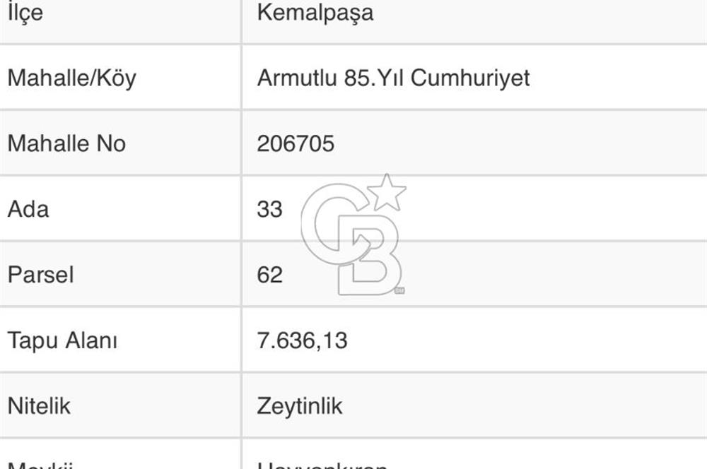 İZMİR KEMALPAŞA ARMUTLU ‘DA 7.636 M2 SATILIK ZEYTİNLİK 