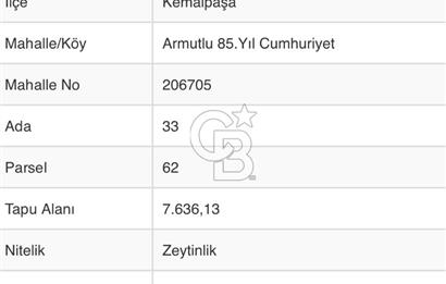 İZMİR KEMALPAŞA ARMUTLU ‘DA 7.636 M2 SATILIK ZEYTİNLİK 
