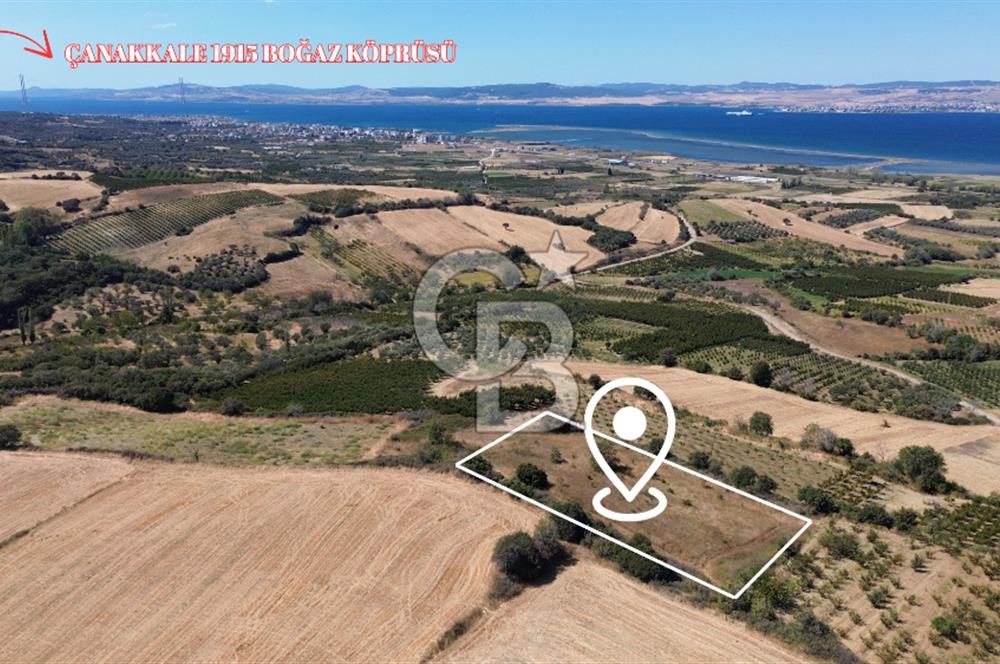 LAPSEKİ ÇARDAK’TA TARIMA ELVERİŞLİ, KÖPRÜ MANZARALI 5.800 m² ARAZİ