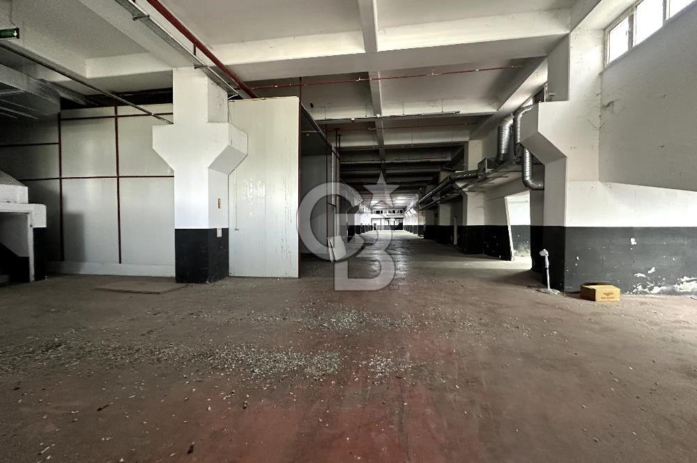 Beylikdüzü Kiralık 3000m2 Fabrika Depo Toprak Basar Vinçli Ofisl