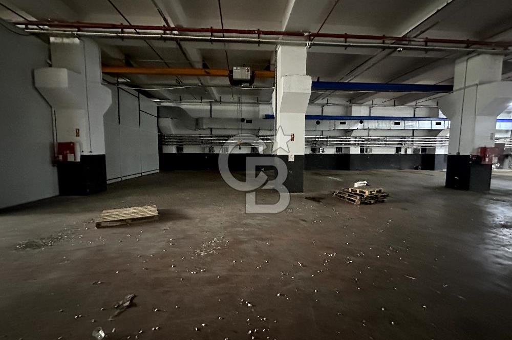 Beylikdüzü Kiralık 3000m2 Fabrika Depo Toprak Basar Vinçli Ofisl