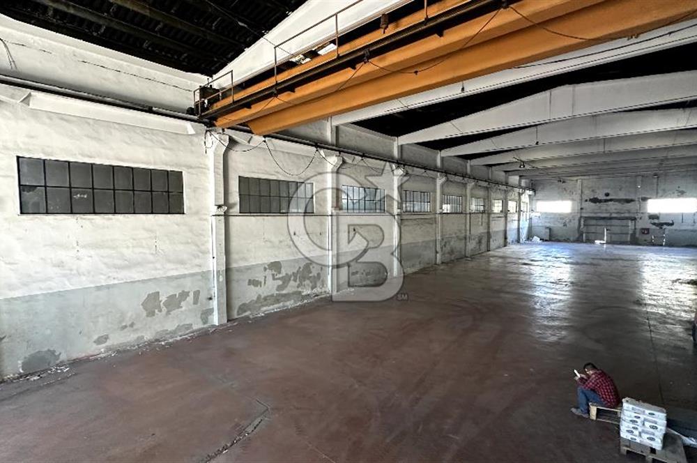 Beylikdüzü Osb Kiralık Fabrika Depo Hangar Tipi 1700m2 Vinçli
