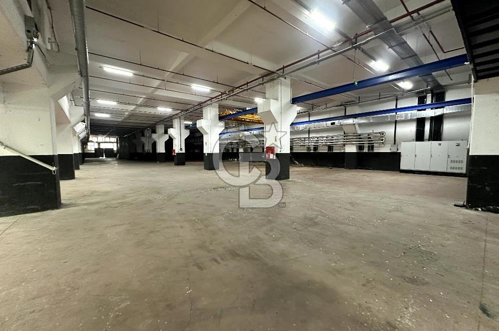 Beylikdüzü Kiralık 3000m2 Fabrika Depo Toprak Basar Vinçli Ofisl