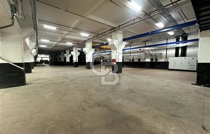 Beylikdüzü Kiralık 3000m2 Fabrika Depo Toprak Basar Vinçli Ofisl