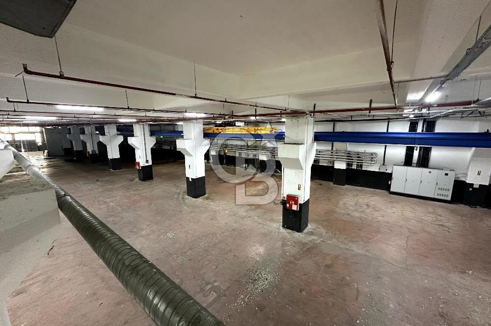Beylikdüzü Kiralık 3000m2 Fabrika Depo Toprak Basar Vinçli Ofisl