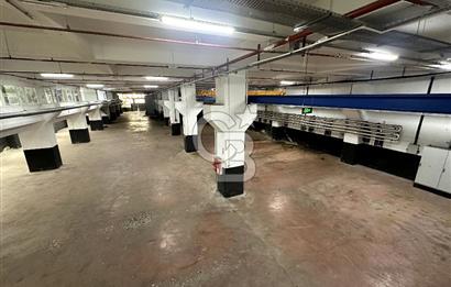 Beylikdüzü Kiralık 3000m2 Fabrika Depo Toprak Basar Vinçli Ofisl