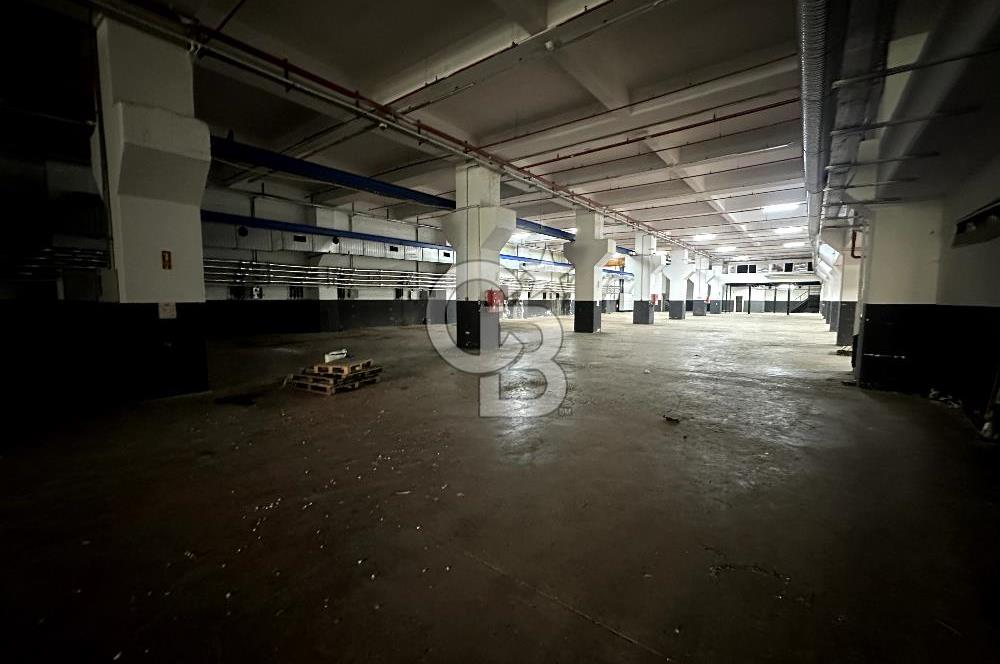 Beylikdüzü Kiralık 3000m2 Fabrika Depo Toprak Basar Vinçli Ofisl