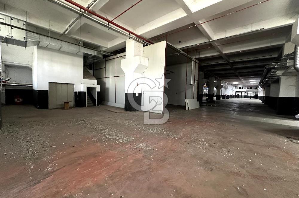 Beylikdüzü Kiralık 3000m2 Fabrika Depo Toprak Basar Vinçli Ofisl